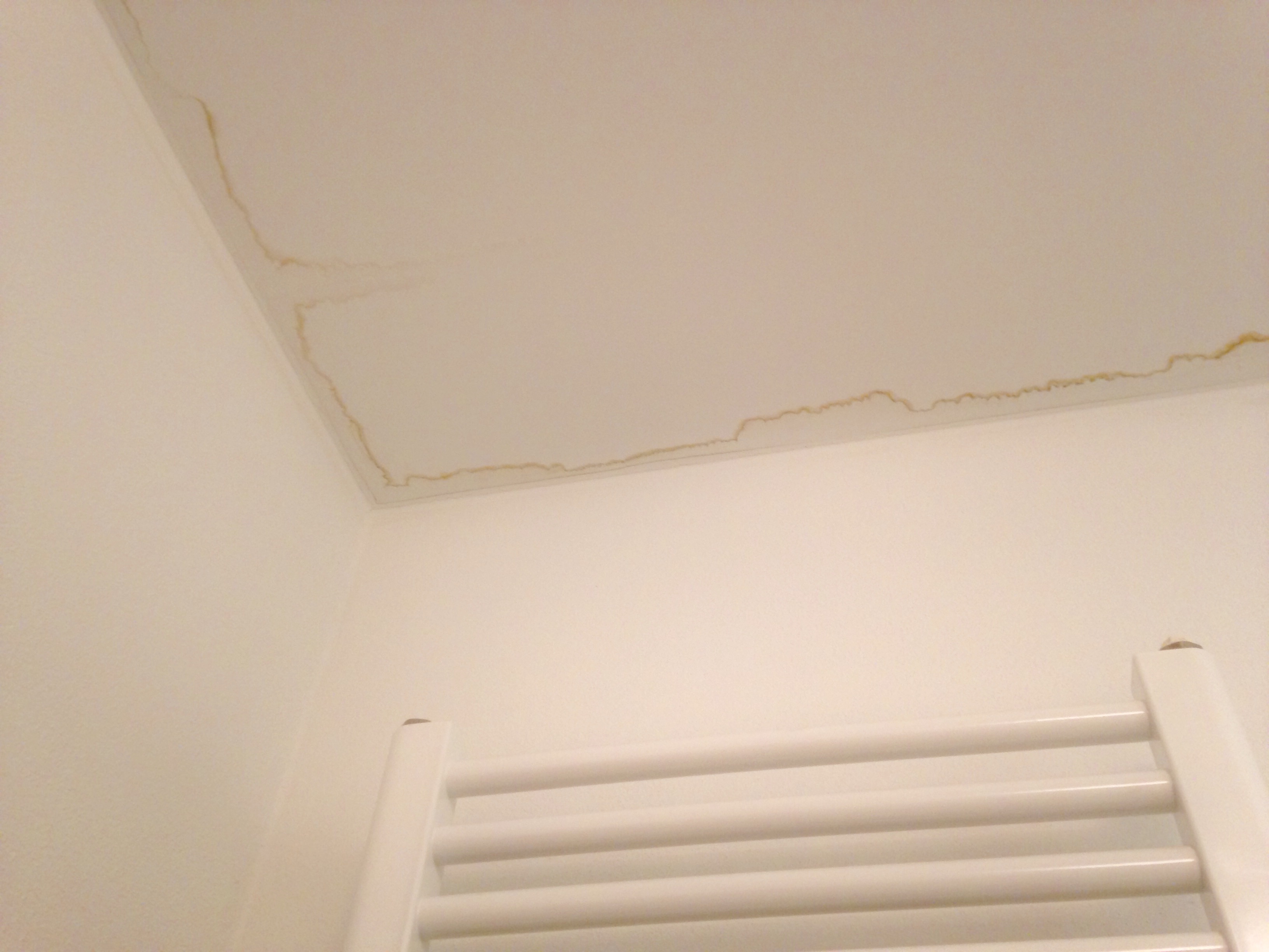 Jak vymalovat strop po Vytopeni?